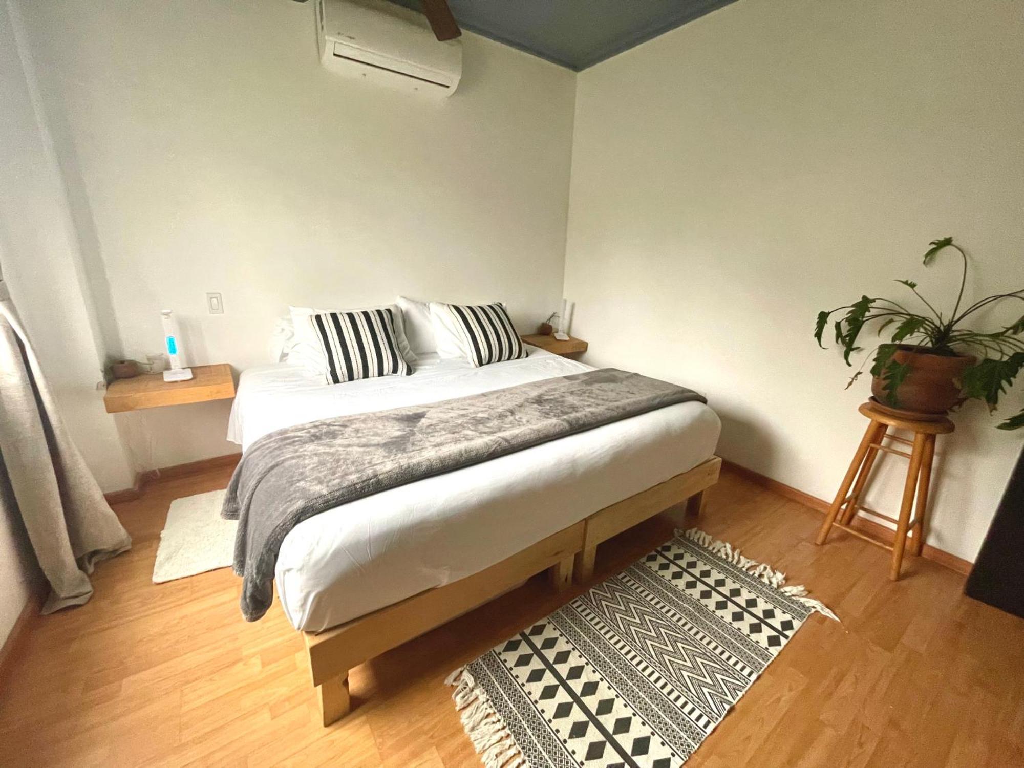 Estudio Terraza - Todos Santos - Centro Eksteriør billede